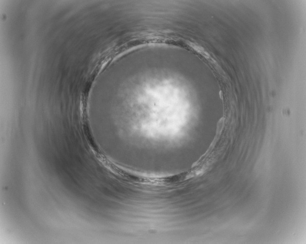 X0000087420720200705111916