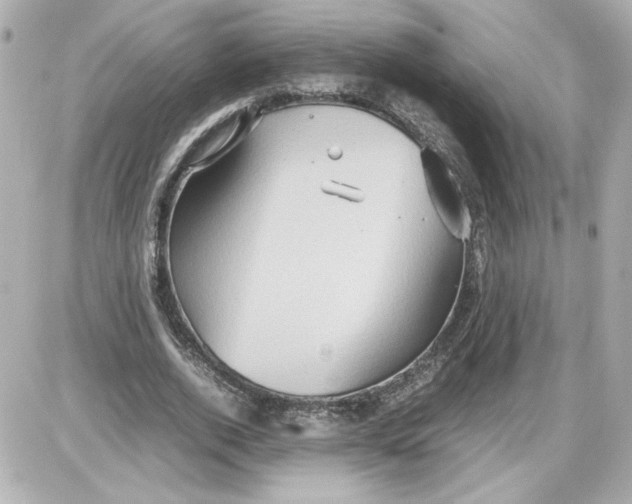 X0000087420728200705111915