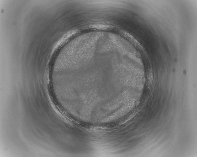 X0000087420734200705111915