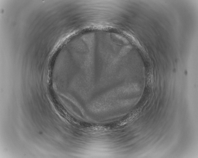 X0000087420736200705111916
