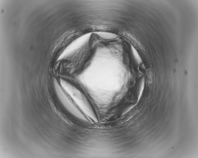 X0000087420738200705111916