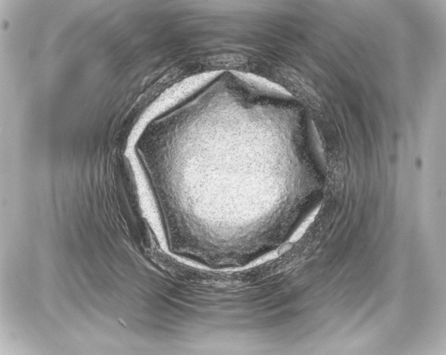 X0000087420745200705111916
