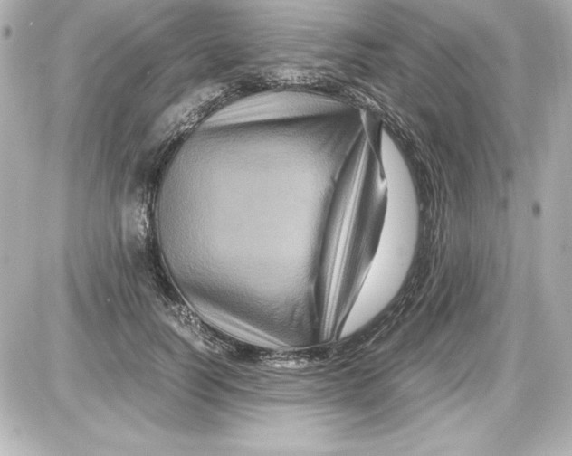 X0000087420746200705111916