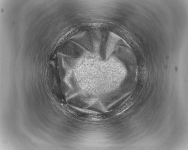 X0000087420750200705111916