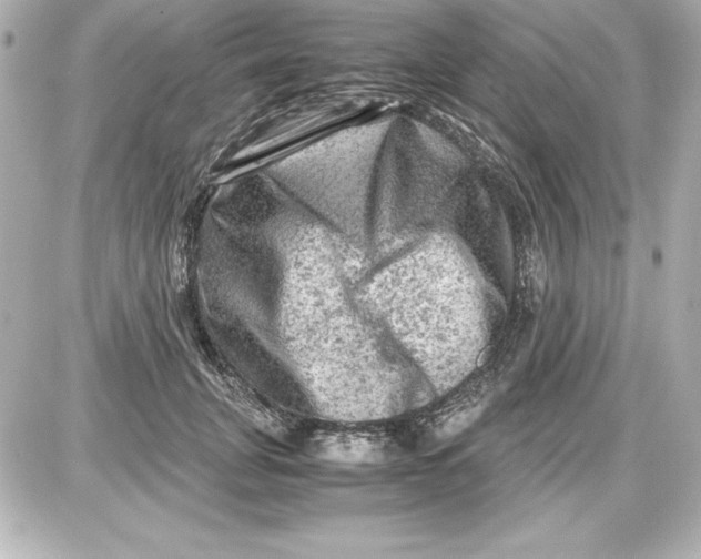 X0000087420751200705111916