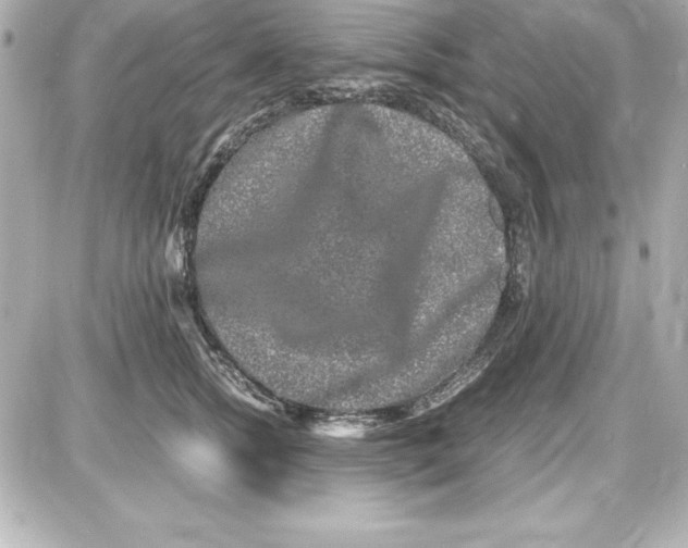 X0000087420758200705111916