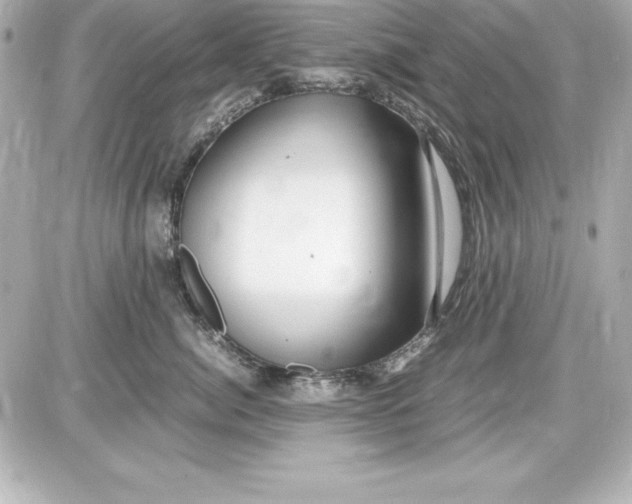 X0000087420764200705111916
