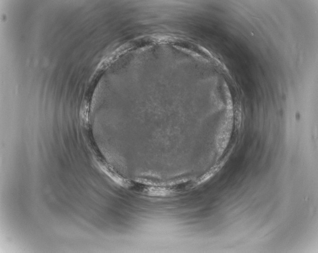 X0000087420766200705111916