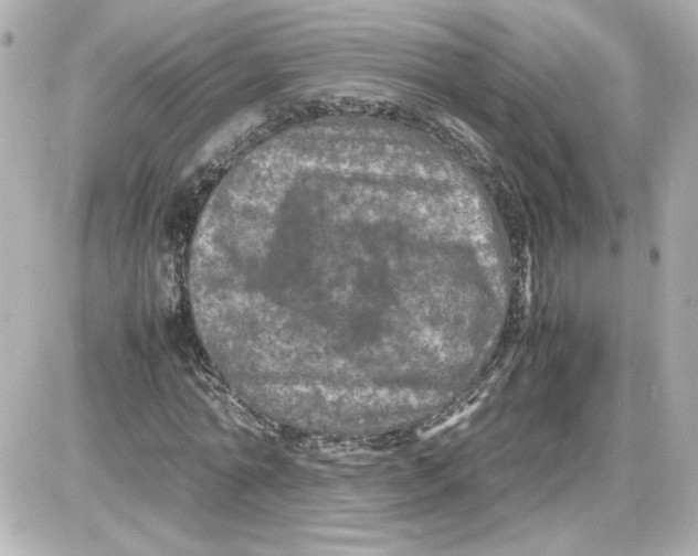 X0000087420774200705111915