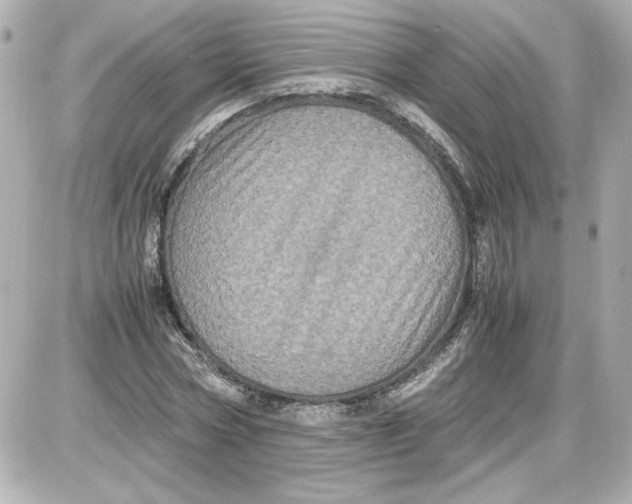 X0000087420778200705111915