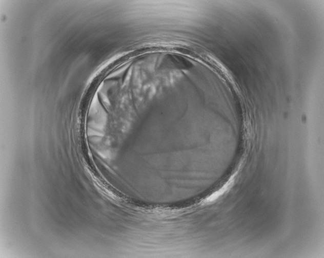 X0000087420779200705111915