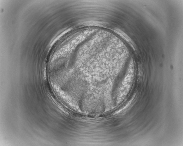 X0000087420782200705111915