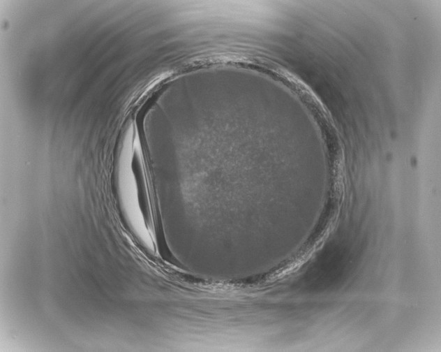 X0000087420785200705111915