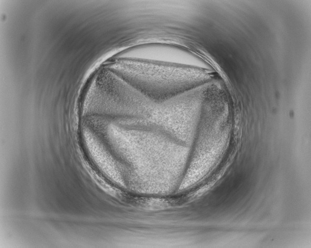 X0000087420787200705111915