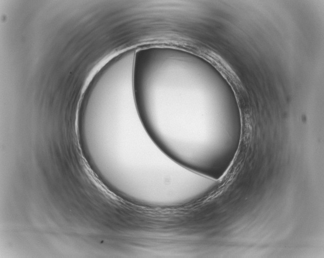 X0000087420788200705111915