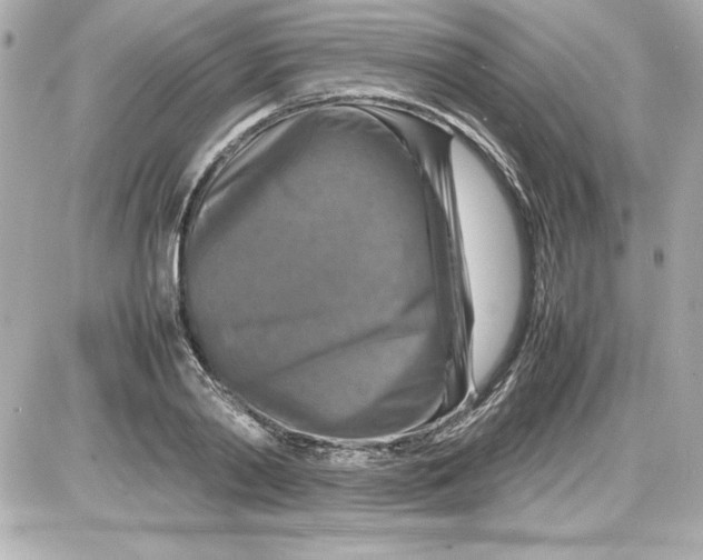 X0000087420790200705111915