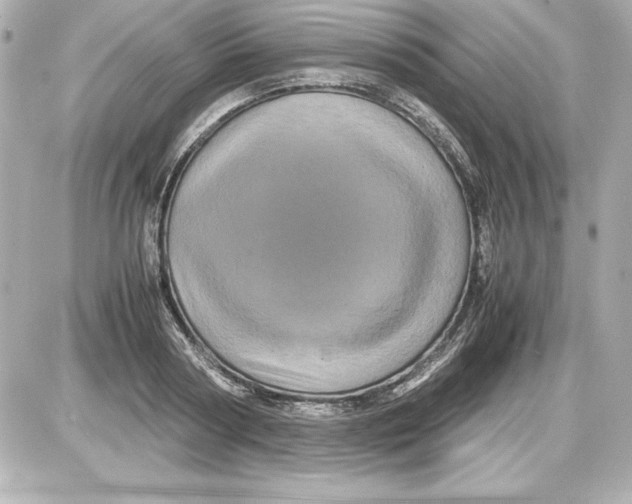 X0000087420794200705111915