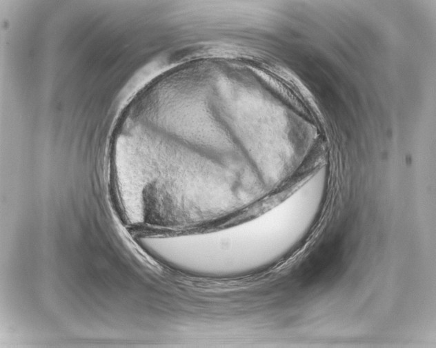 X0000087420795200705111915