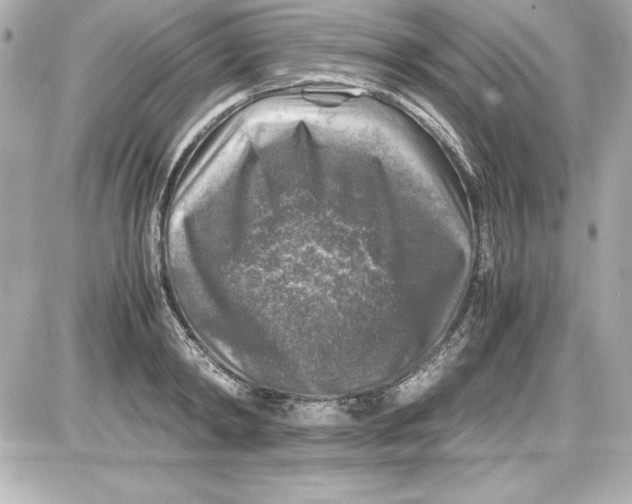 X0000087420798200705111915