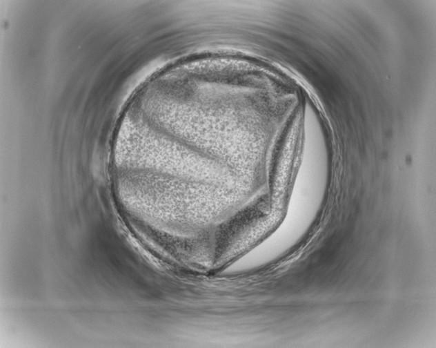 X0000087420799200705111915