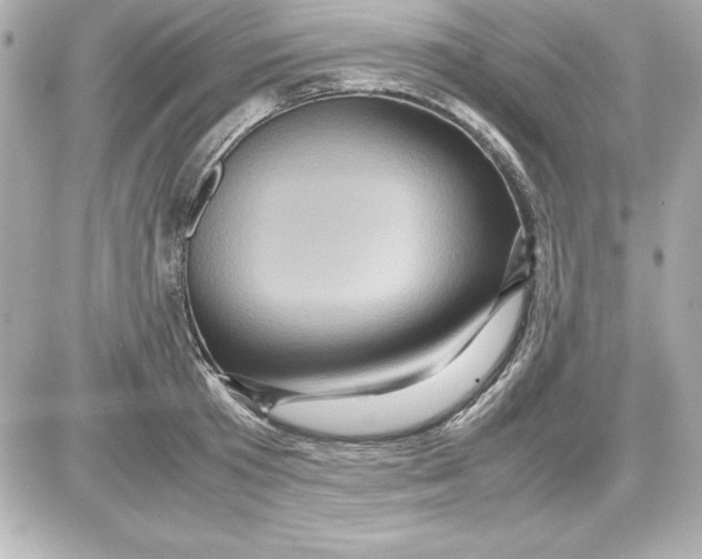 X0000087420801200705111915