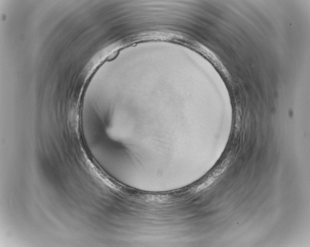 X0000087420802200705111915