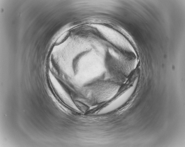 X0000087420803200705111915