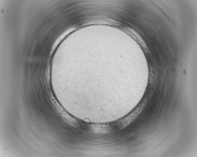 X0000087420804200705111915