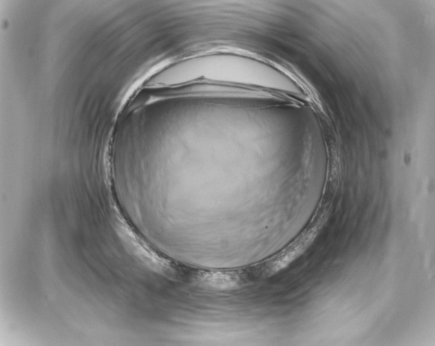 X0000087420806200705111915