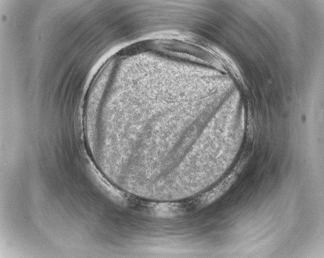 X0000087420808200705111915
