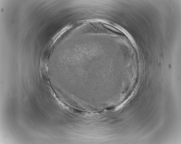 X0000087420809200705111915