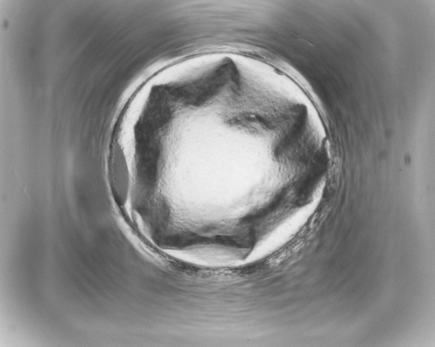 X0000087420811200705111915