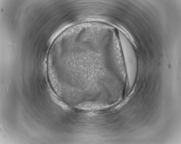 X0000087420814200705111915