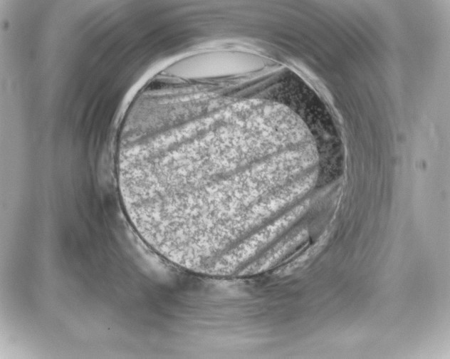 X0000087420816200705111915