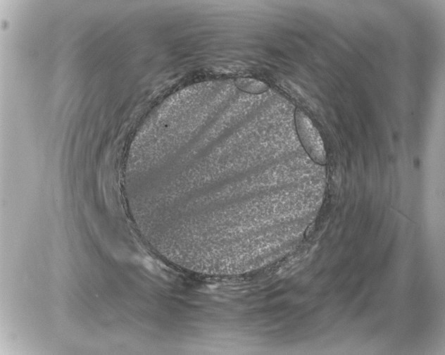 X0000087420817200705111914