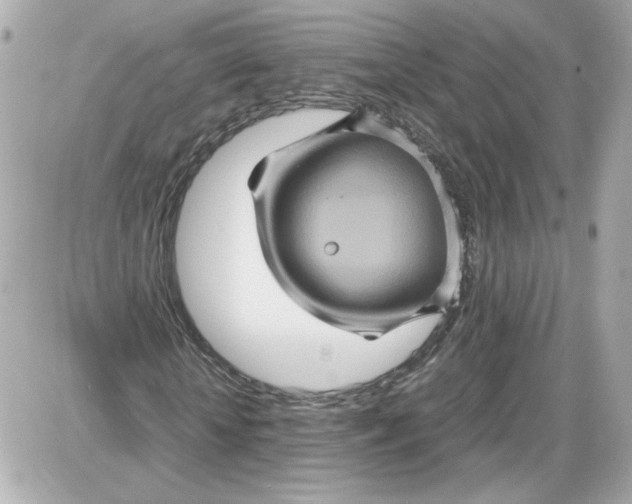 X0000087420818200705111914