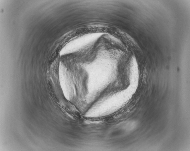 X0000087420821200705111914