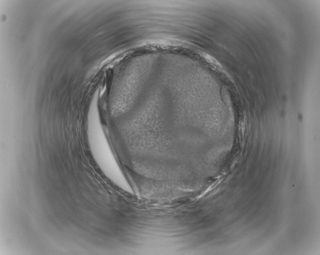 X0000087420822200705111914