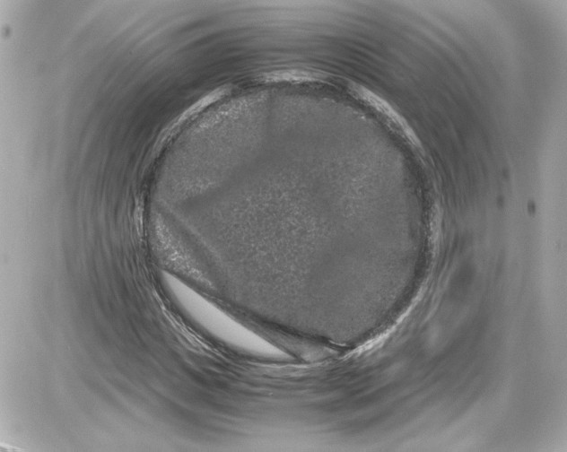 X0000087420825200705111914