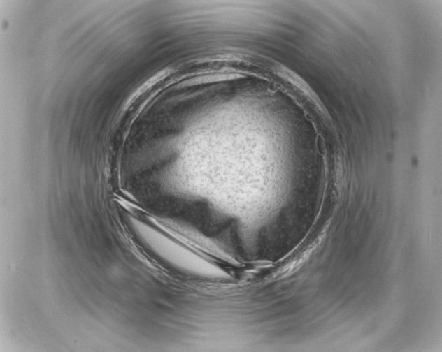 X0000087420826200705111914