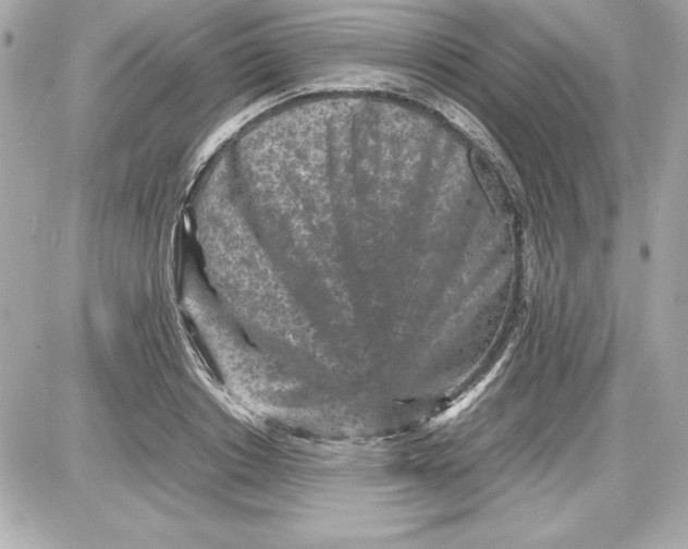 X0000087420842200705111914