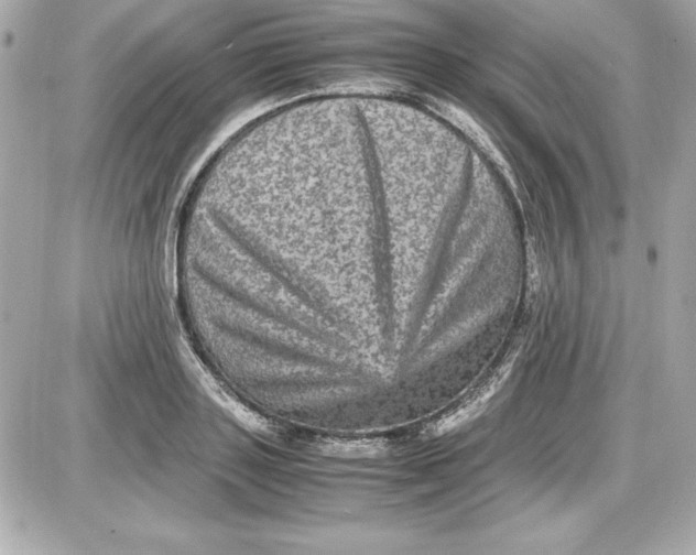 X0000087420843200705111914