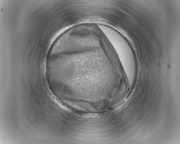 X0000087420846200705111914