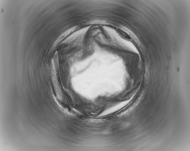 X0000087420849200705111914