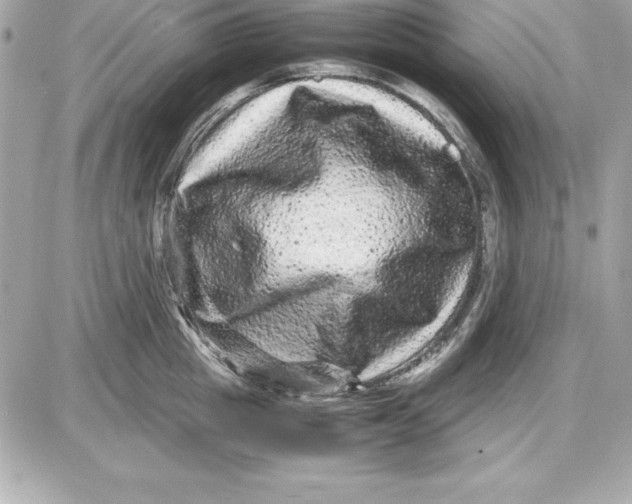 X0000087420857200705111914