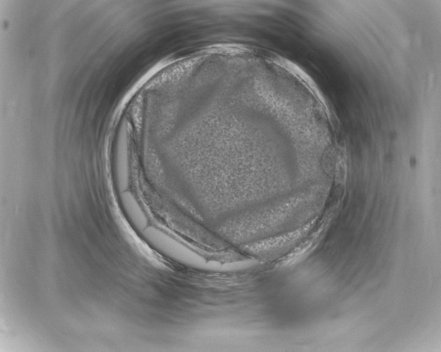 X0000087420859200705111914