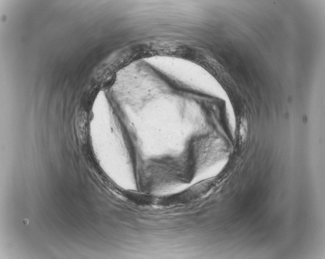 X0000087420867200705111914