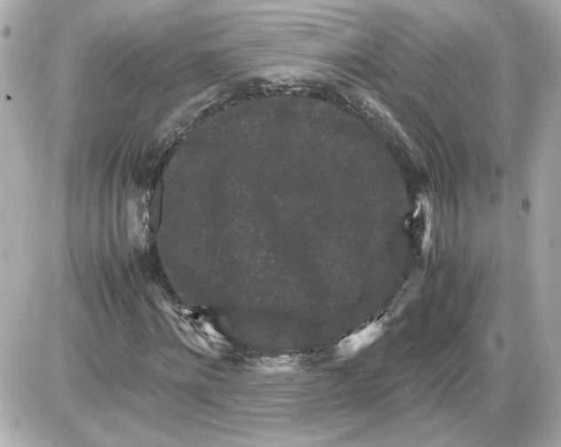 X0000087420868200705111914
