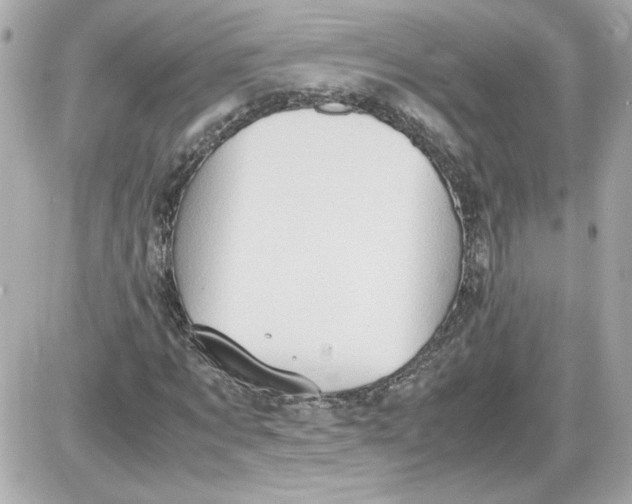 X0000087420869200705111914
