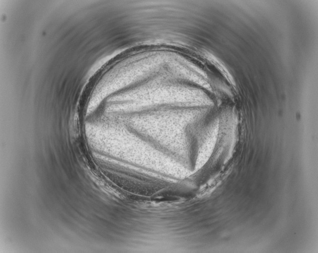 X0000087420876200705111914